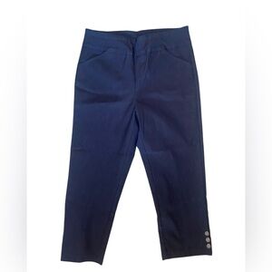 Tribal Pull On Capri Pants